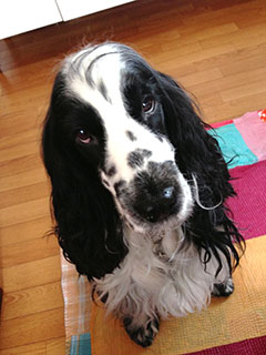 �ς񂾂����