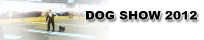 dog show 2012