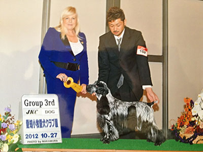 �h�b�O�V���[2012