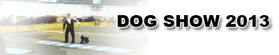 dog show 2013