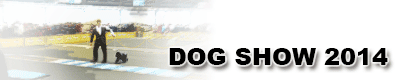 dog show 2014