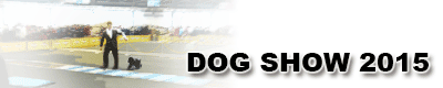 dog show 2015