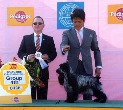 �h�b�O�V���[2012