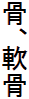 骨、軟骨