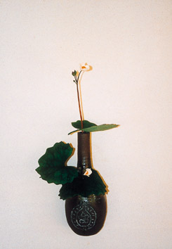 9.jpg (19740 �o�C�g)