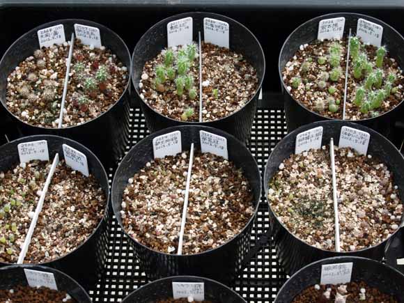 ��51���q(2012/08/24)