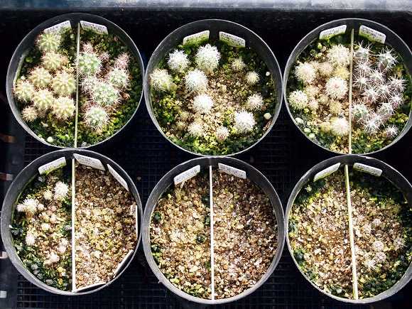 ��51���q(2013/02/17)