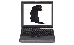 ThinkPad i Series 1620 �C���[�W