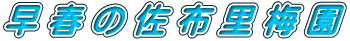  t   z  ~ 