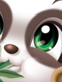 Panda.jpg