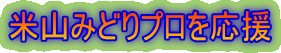 ĎR݂ǂv