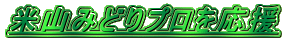 ĎR݂ǂv

