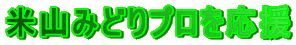 ĎR݂ǂv