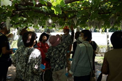 �u�h�E���