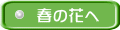 春の花へ