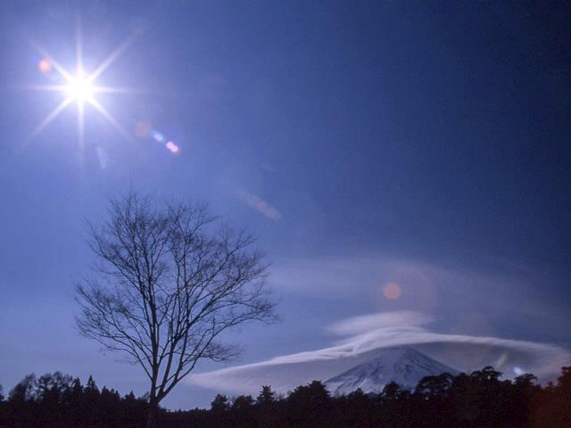 fuyu003.jpg
