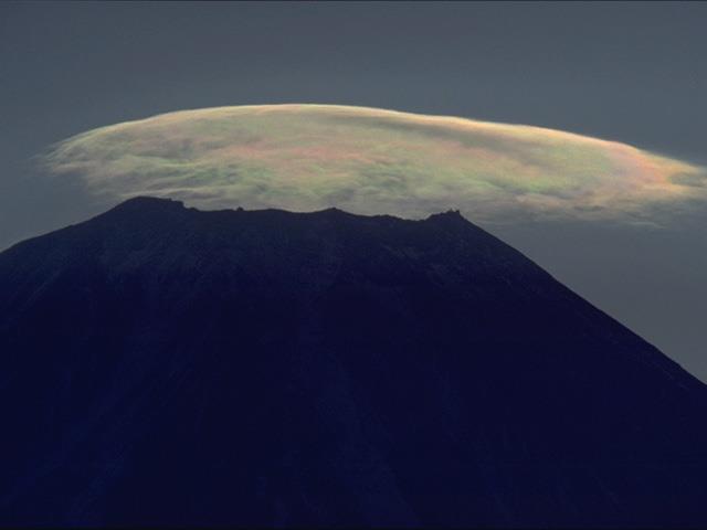 fuyu006.jpg