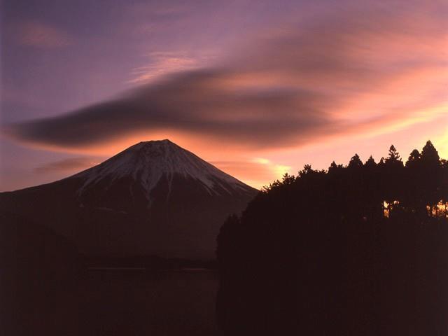 fuyu011.jpg