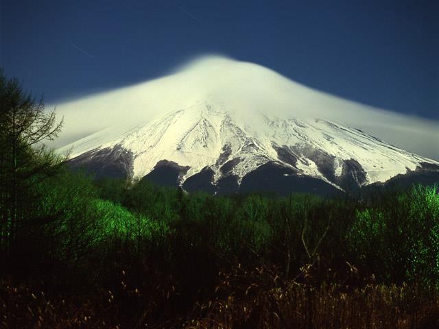 fuyu015.jpg