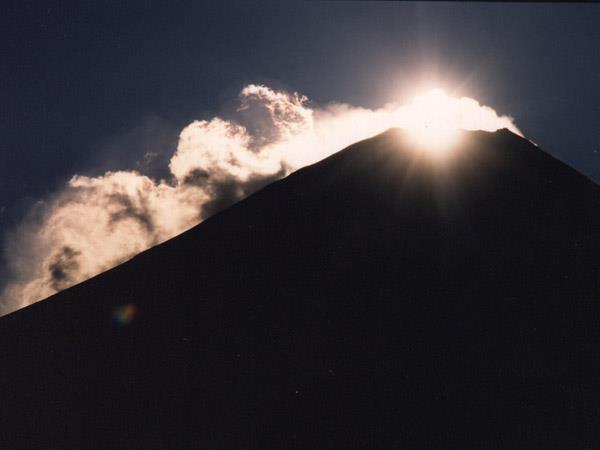 fuyu017.jpg