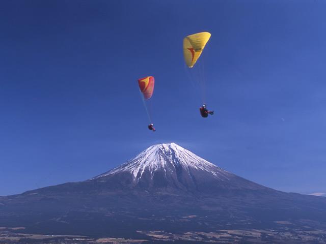 fuyu022.jpg