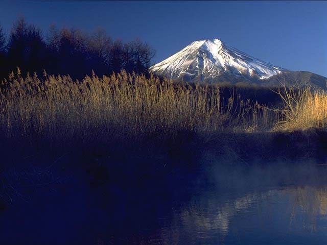 fuyu047.jpg