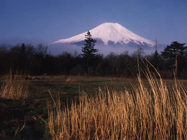 fuyu048.jpg