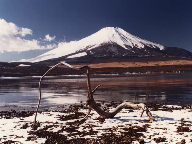 fuyu054.jpg