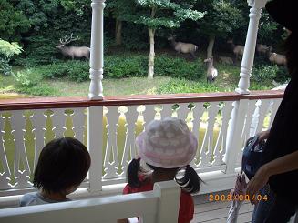 TDL_MTG.JPG - 28,426BYTES