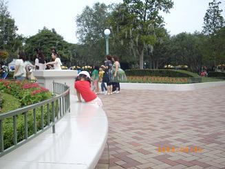 TDL_SHIN1.JPG - 25,741BYTES