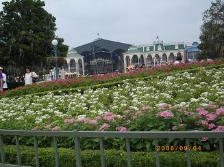 TDL_SHIN1.JPG - 25,741BYTES