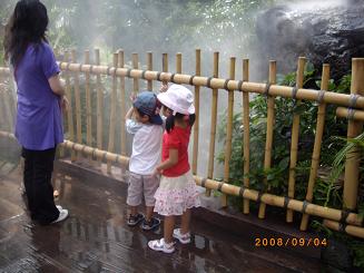 TDL_SWR.JPG - 26,018BYTES