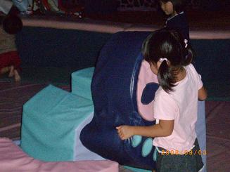 TDS_MDR.JPG - 19,363BYTES