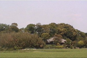 ��R�i����Ձj