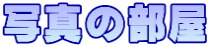 ʐ^̕