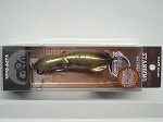 クロダイ 根魚