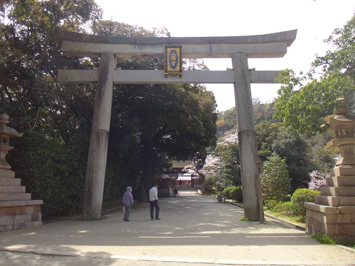 写真