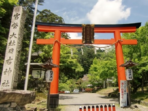 写真