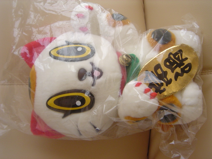DSC08236.jpg