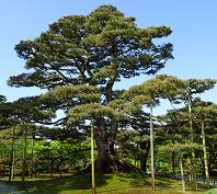 HOKURIKUA2.JPG - 54,533BYTES