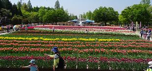HOKURIKUC1.JPG - 58,093BYTES