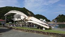 KII-C1.JPG - 7,966BYTES