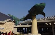 OKINAWAA-1.JPG - 45,838BYTES