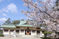 SAKURAL-2.JPG - 9,609BYTES