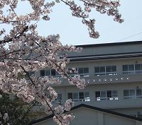 GAKKO1-1.JPG - 11,332BYTES