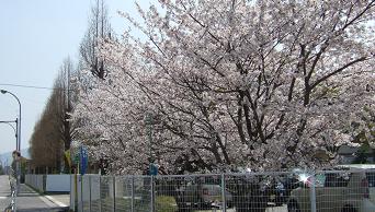 GAKKO1-2.JPG - 24,298BYTES