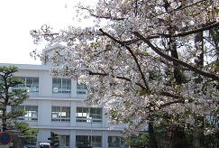 GAKKO2-1.JPG - 15,685BYTES