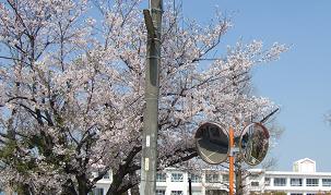 GAKKO2-2.JPG - 19,237BYTES