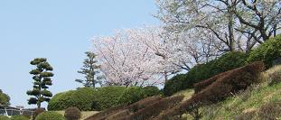 GAKKO3-2.JPG - 12,200BYTES