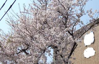 GAKKO4-1.JPG - 27,437BYTES